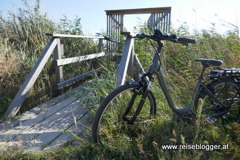 Radfahren am Neusiedler See